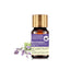 Natural Plant Essential Oils