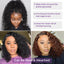 Curly Bob Hair Wigs