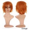 Synthetic Wig Cosplay