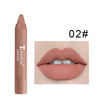 12 Colors matte Lipstick Pen